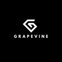 Grapevine Business Club, NIT Rourkela logo - Similar company to Dr. Arunaagiri Mudaaliar(Corporate Sales Trainer)