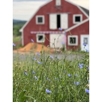 Parmelee Hill Consulting logo - Similar company to Acara Partners