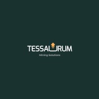 Tessaurum Mining Solutions logo - Similar company to Tessaurum Mining Solutions