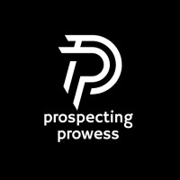 Prospecting Prowess logo - Similar company to Prospecting Done For You