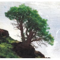 Cypress Independent Living Services Inc. logo - Similar company to Ability Now Bay Area