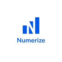 Numerize AI logo - Similar company to Ask Ainstein