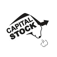 Capital Stock logo - Similar company to Graas Capital
