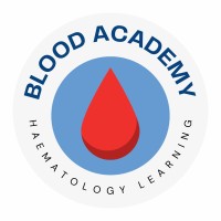 Blood Academy logo - Similar company to British Blood Transfusion Society