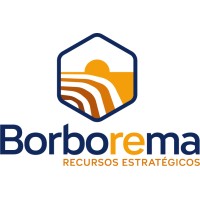 Borborema Recursos Estratégicos logo - Similar company to M4E Lithium
