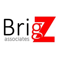 Brigz Associates Ltd