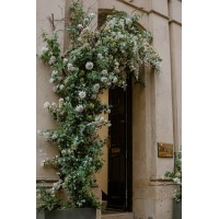 Anne Priscilla Bridal logo - Similar company to Chapman Burrell