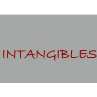 Intangibles - Humanizando empresas logo - Similar company to Cleanup Solutions