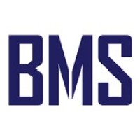 Boston Microsystems