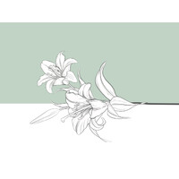 Bigna Pallioppi - Coaching logo - Similar company to Living Sense Executive