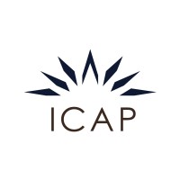 Institutional Capital