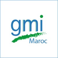 GMI Maroc logo - Similar company to Akenoo®