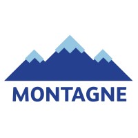 Montagne Group logo - Similar company to Fluenceflow