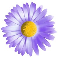 Rumah Daisy Cantik logo - Similar company to Satnetcom