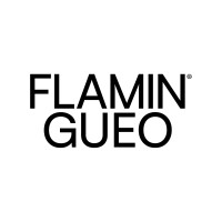 FLAMINGUEO logo - Similar company to Scuba Finders