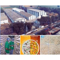 INDIAN BASMATI RICE logo - Similar company to Farmlink Basmati