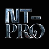 Nekilnojamojo Turto Profesionalai (NT-PRO) logo - Similar company to Nt-Pro