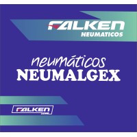 Neumalgex Neumáticos logo - Similar company to Circularmkt