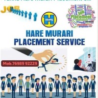 HARE MURARI PLACEMENT SERVICE logo - Similar company to Devi Consulting