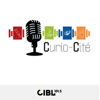 Curio-Cité logo - Similar company to Solutions Ecs