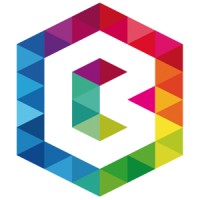 BSS Solutions logo - Similar company to Flow Time
