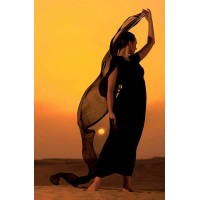 ARABIAN NIGHTS logo - Similar company to Sk Prod