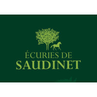 ECURIES de SAUDINET logo - Similar company to Hr Performance