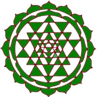 Shyam Group of Industries logo - Similar company to Shyam Group