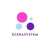 Ecera System Private Limited logo - Similar company to Ecera System