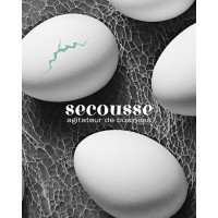 SECOUSSE_974 logo - Similar company to Pokapok