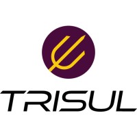 Unleash Networks logo - Similar company to Et Network Solution