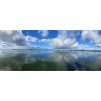 Oysters of Down Under logo - Similar company to Oystergro Aquafarming Systems By Bbi Group