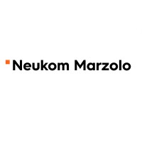 Neukom Marzolo AG logo - Similar company to Preisig Ag