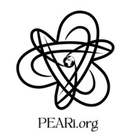 Pro-Equity Anti-Racism Institute logo - Similar company to Enhanced Interactions Llc