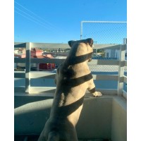 Servicios de administración CISSE S.A DE C.V logo - Similar company to Enyayo