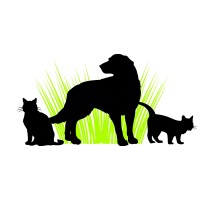 Animal Care Of Gloucester