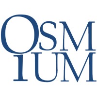 Osmium Group Limited logo - Similar company to Motioninput Games