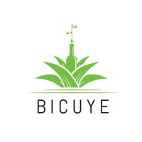 Bicuye logo - Similar company to Meaningfuldata