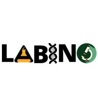 Labino_group logo - Similar company to Medical Artificial Intelligence Association
