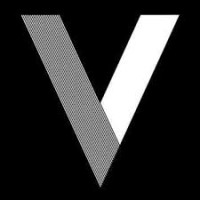 Vice Models Management