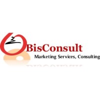 Bisconsult (Business Information Services Consultants)