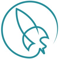 SPIN - Space Innovation logo - Similar company to Matego