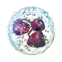 Immunyx Pharma logo - Similar company to Sakura Bio