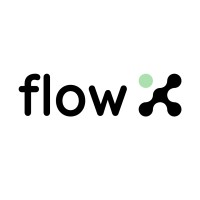 flowX logo - Similar company to Flowx