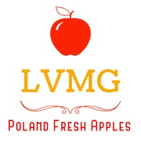 LVMG GRUPA Sp. z o.o. logo - Similar company to Dotika