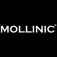 MOLLINIC logo - Similar company to Planaria Studio
