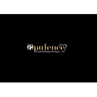 Opulence Consulting Group logo - Similar company to Tmfd Financial