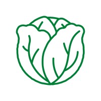 News Lettuce logo - Similar company to Pickle And Pitch