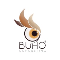 BUHO Consulting logo - Similar company to Youhost.Cl