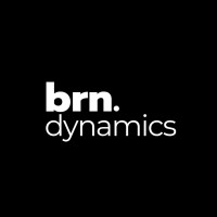 Brn Dynamics logo - Similar company to Salony.Com